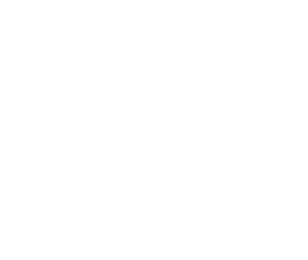 ColinH_EraseData_logo_lores_wht
